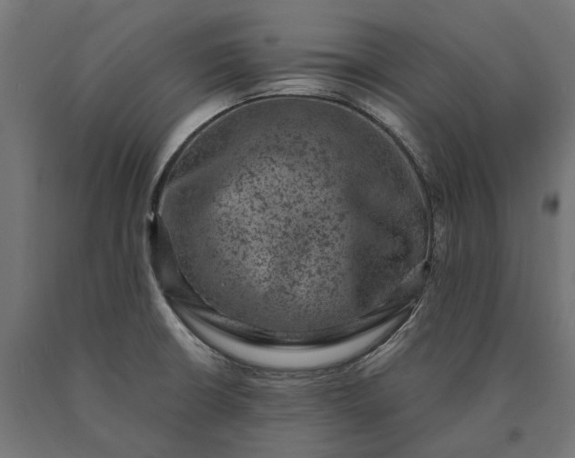 X0000090731426200708031513