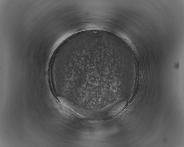 X0000090731427200708031513