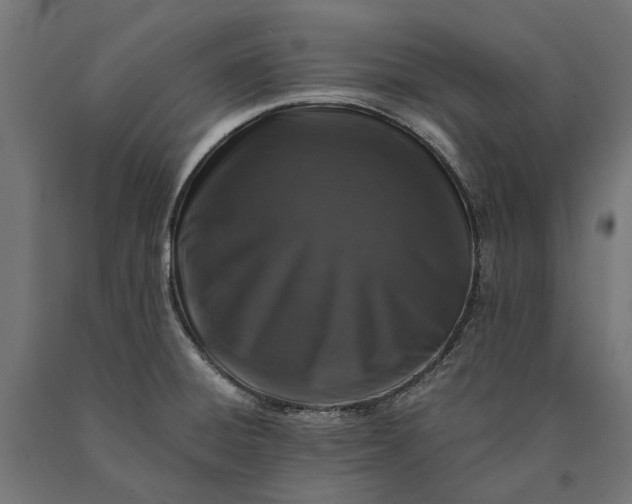X0000090731428200708031513
