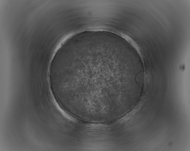 X0000090731429200708031513