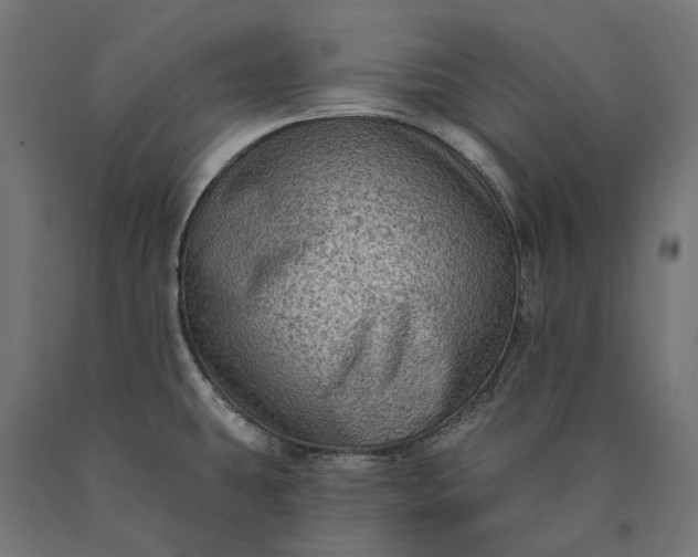 X0000090731431200708031513