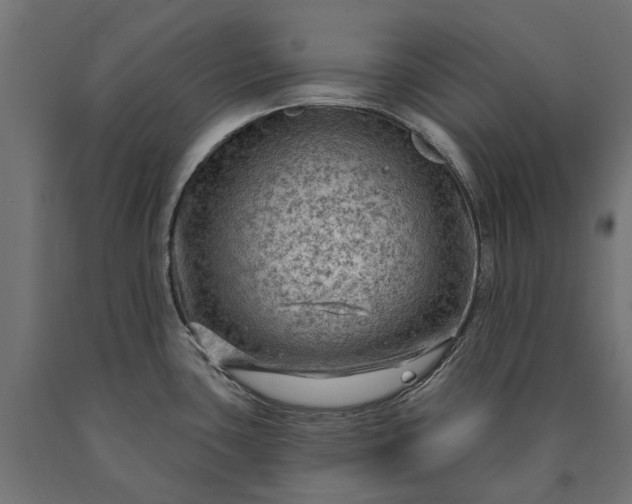 X0000090731435200708031513