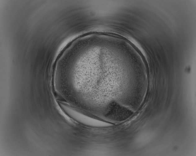 X0000090731437200708031513