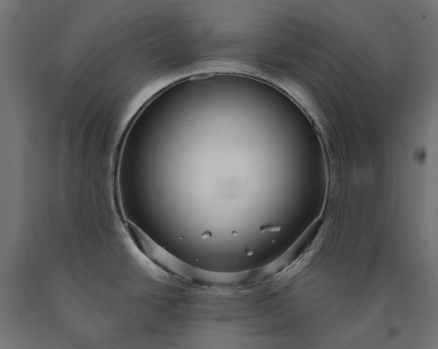 X0000090731438200708031513