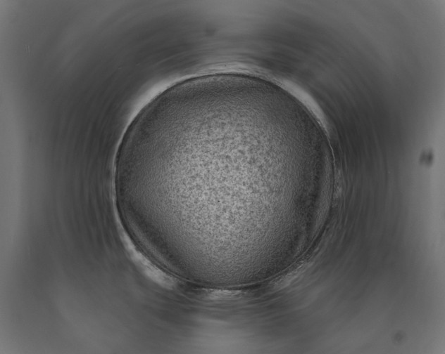 X0000090731439200708031513