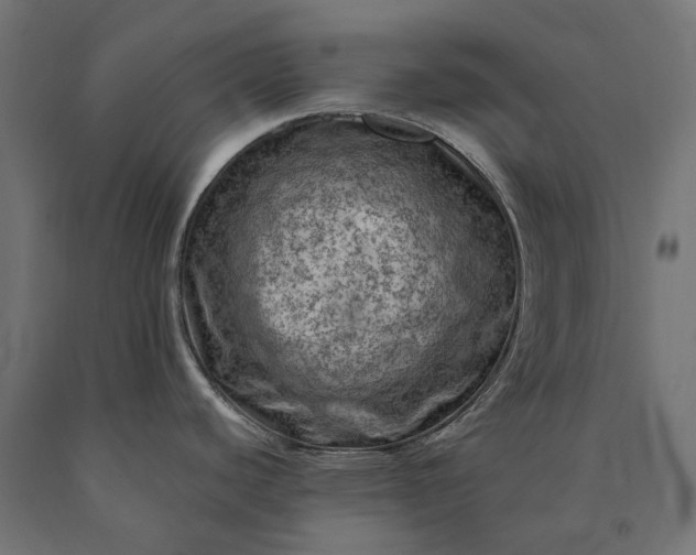 X0000090731440200708031513