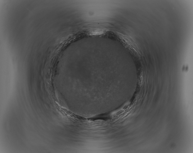 X0000090731441200708031513