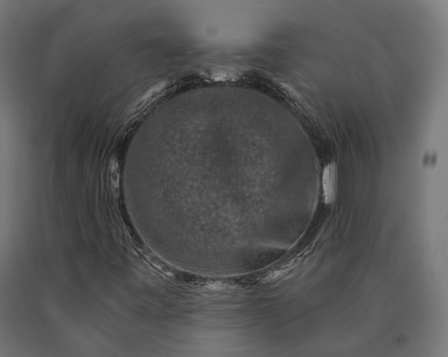 X0000090731443200708031513