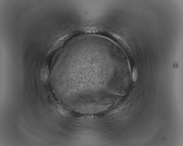X0000090731444200708031513