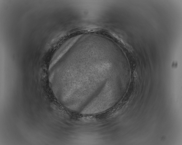 X0000090731447200708031513