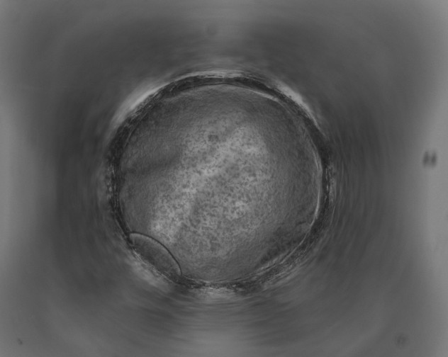 X0000090731448200708031513