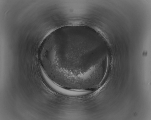X0000090731449200708031513
