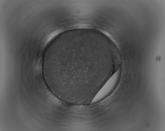X0000090731450200708031513