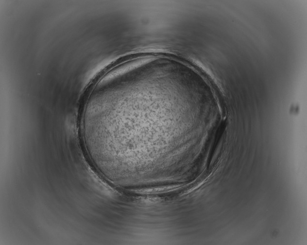 X0000090731452200708031513