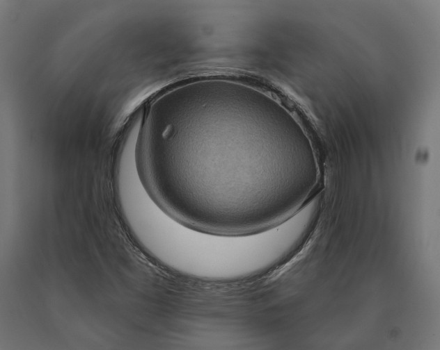 X0000090731453200708031512