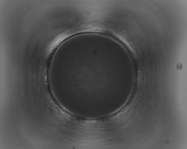 X0000090731455200708031512