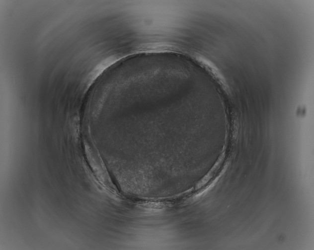 X0000090731457200708031512