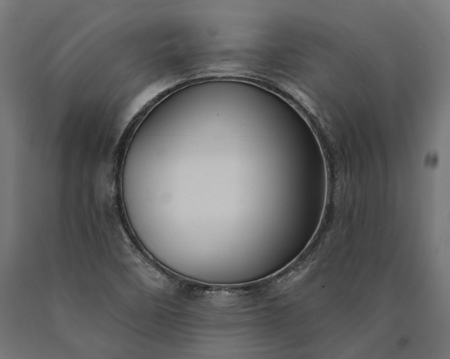 X0000090731458200708031512
