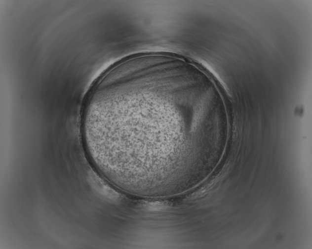 X0000090731460200708031512