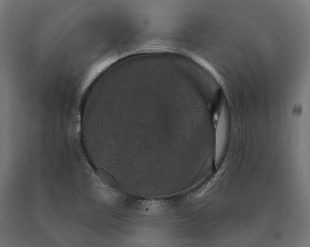 X0000090731461200708031512