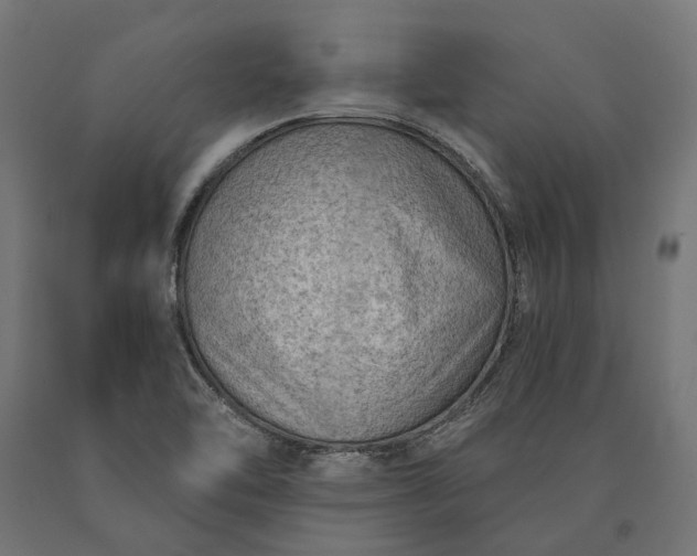X0000090731462200708031512