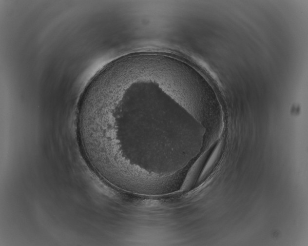 X0000090731463200708031512
