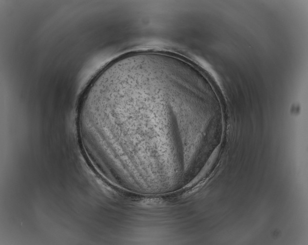 X0000090731464200708031512