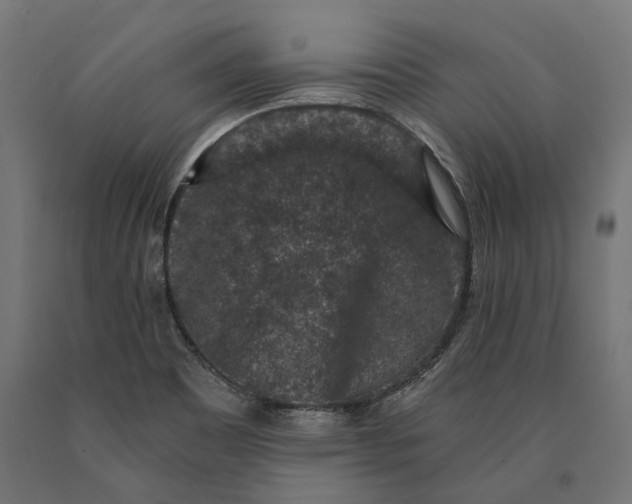 X0000090731465200708031512