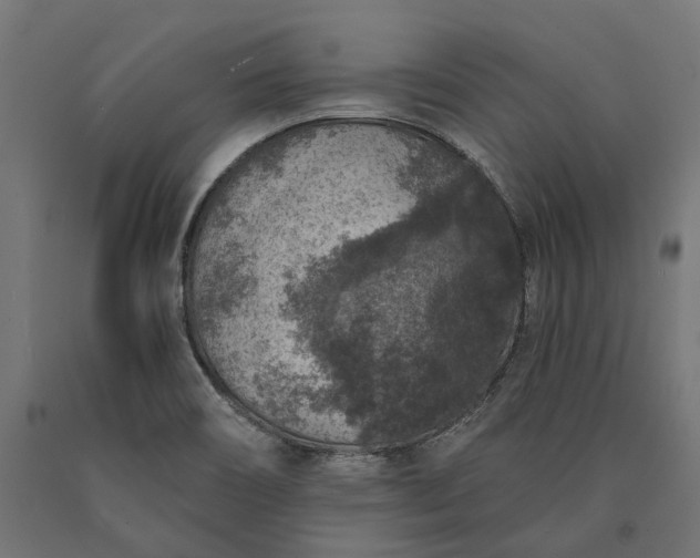 X0000090731466200708031512