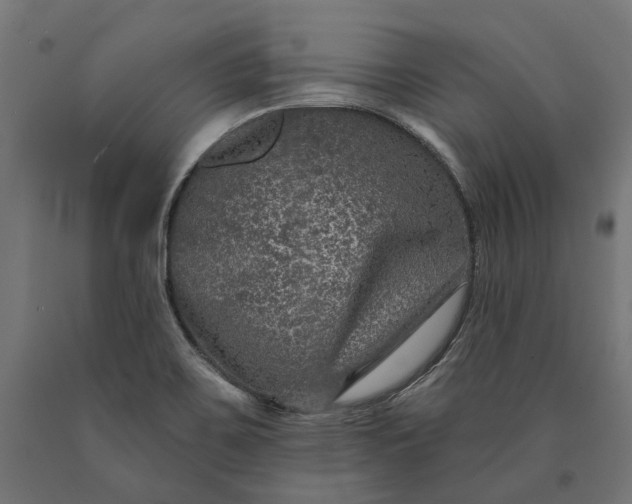 X0000090731467200708031512