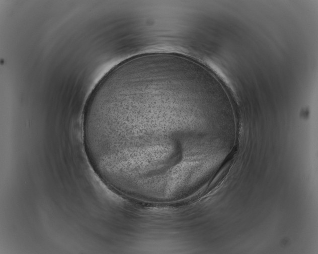 X0000090731468200708031512