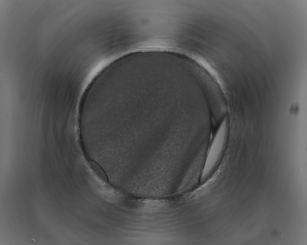 X0000090731469200708031512