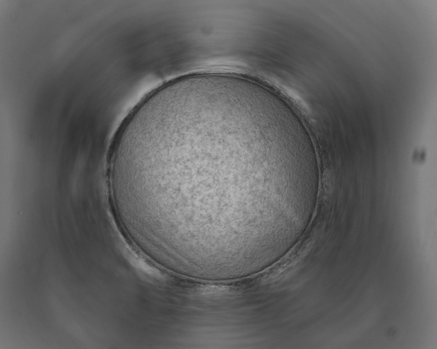 X0000090731470200708031512