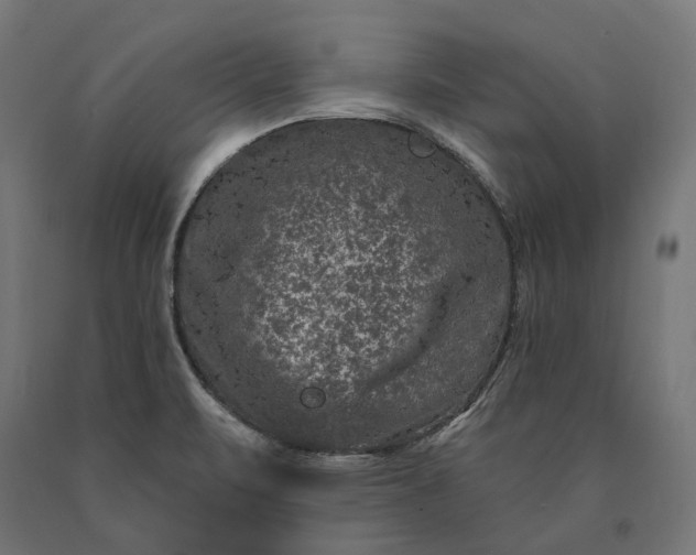 X0000090731471200708031512