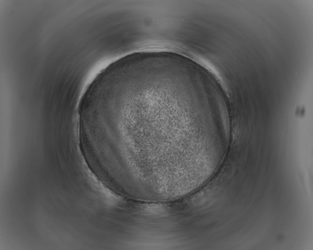 X0000090731472200708031512