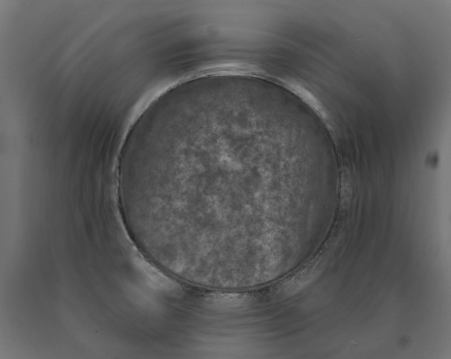 X0000090731474200708031512