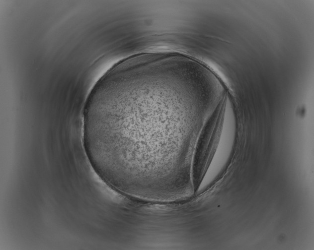 X0000090731476200708031512