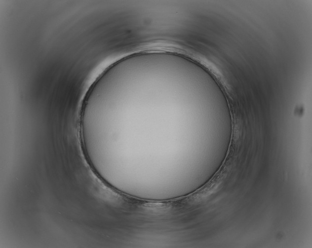 X0000090731478200708031512
