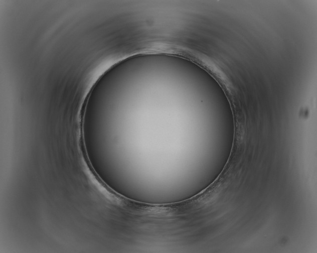X0000090731479200708031512