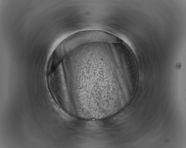 X0000090731480200708031512