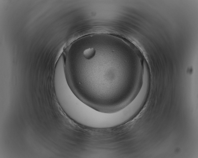 X0000090731481200708031512