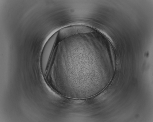 X0000090731484200708031512