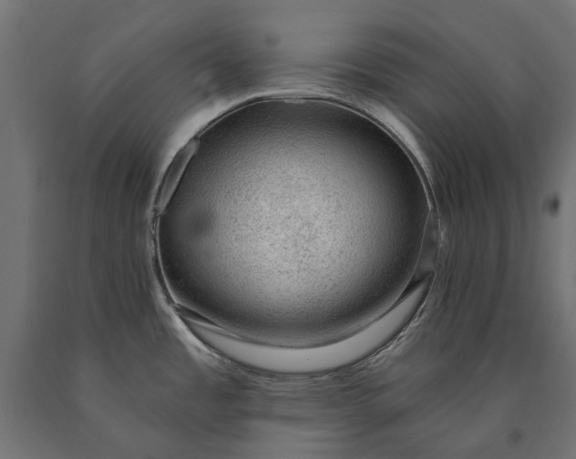 X0000090731485200708031512