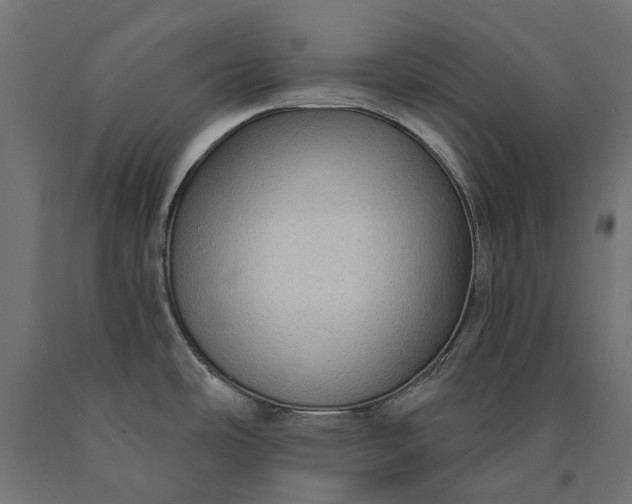 X0000090731486200708031512