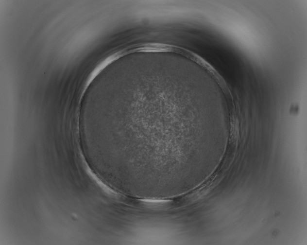 X0000090731487200708031512