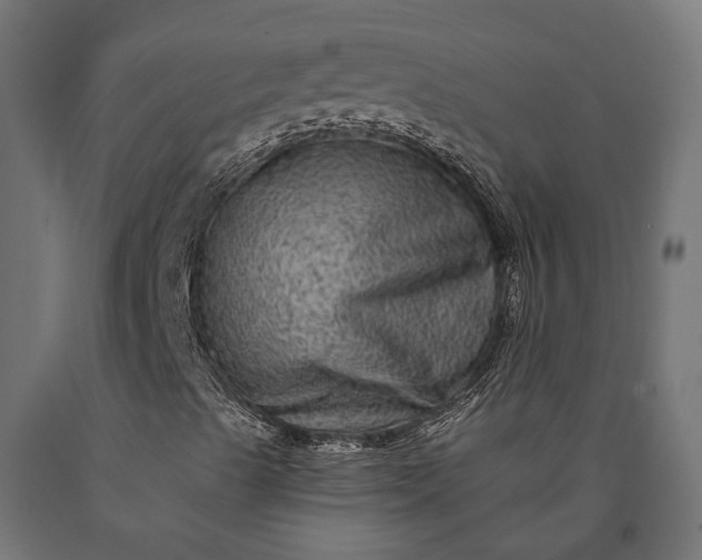 X0000090731489200708031511