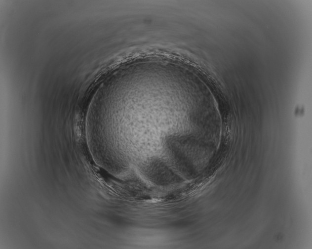X0000090731490200708031511