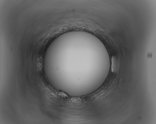 X0000090731491200708031511
