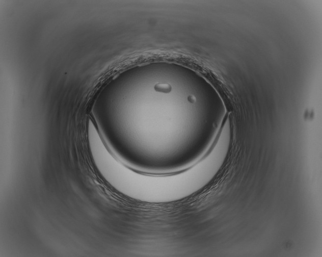 X0000090731492200708031511