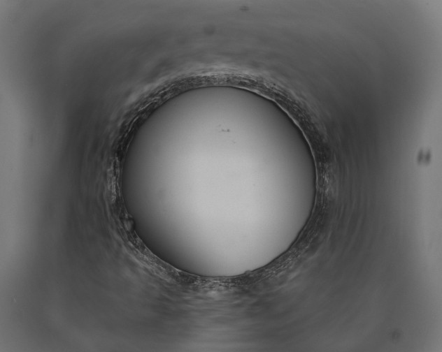 X0000090731493200708031511